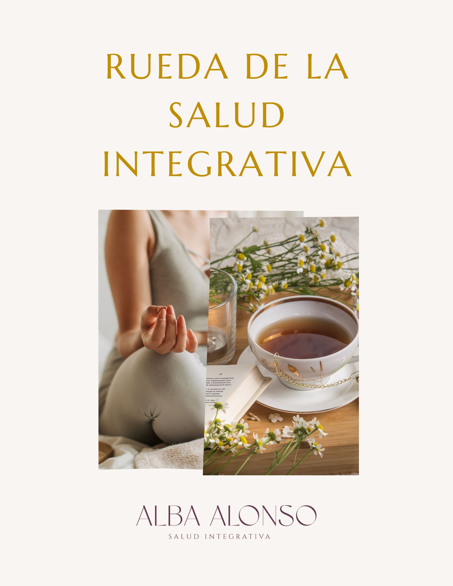 rueda de la salud integrativa
