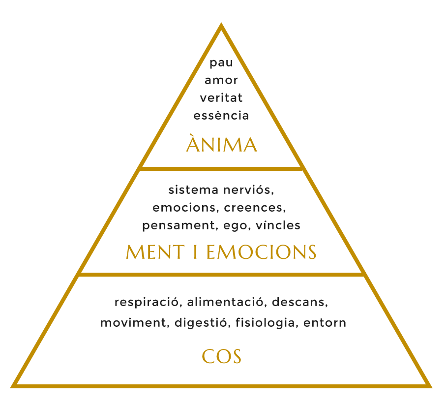 piramide integrativa