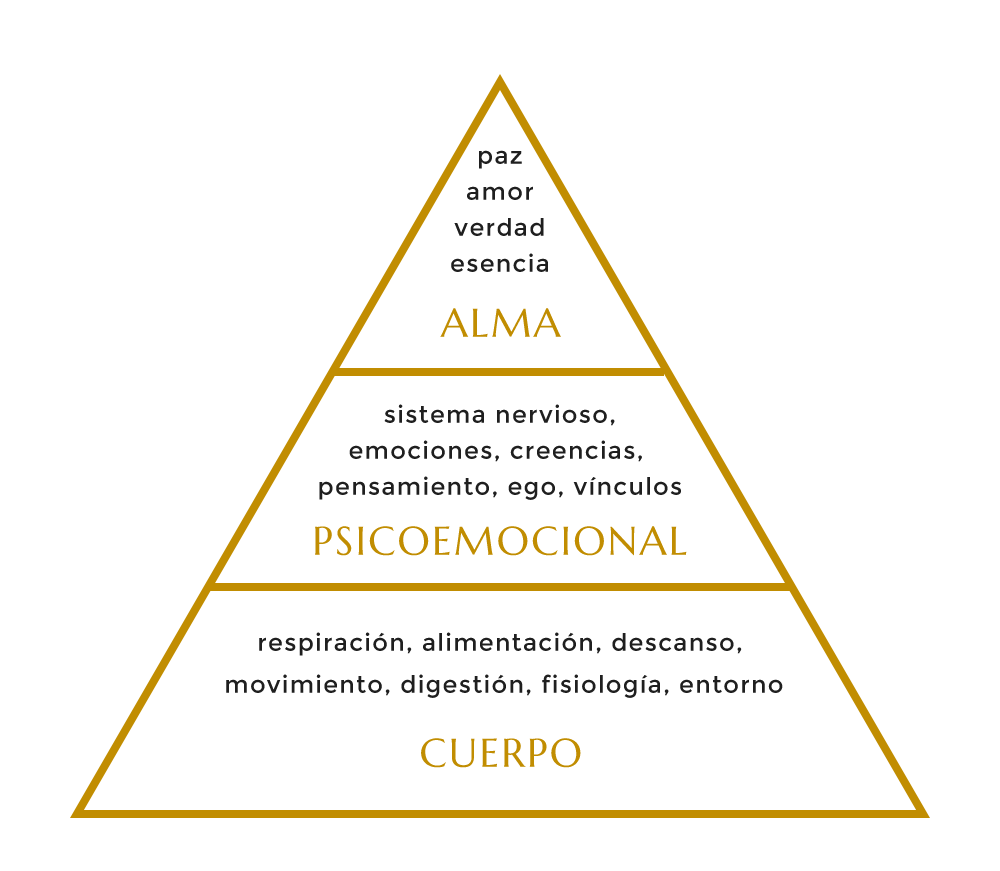 salud integrativa